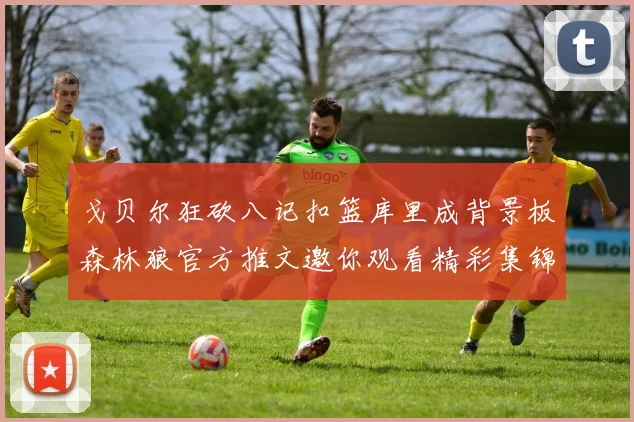 戈贝尔狂砍八记扣篮库里成背景板森林狼官方推文邀你观看精彩集锦