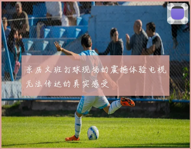 亲历文班打球现场的震撼体验电视无法传达的真实感受