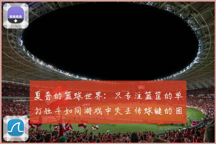 夏普的篮球世界：只专注篮筐的单打独斗如同游戏中失去传球键的困境